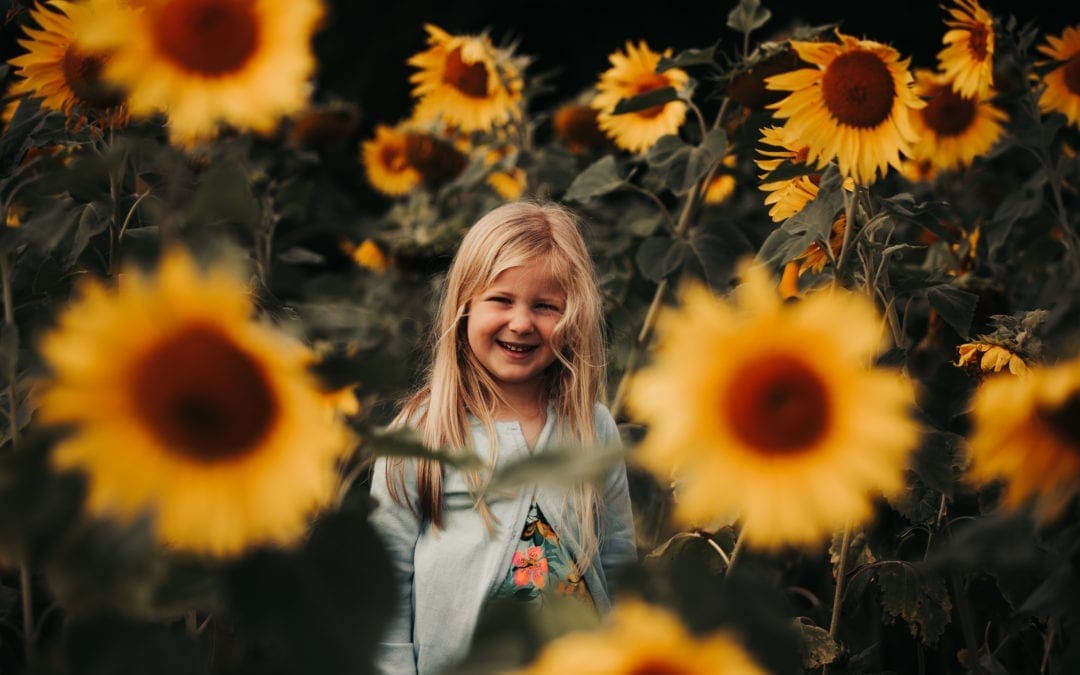 Sunflower Photoshoot Chelmsford